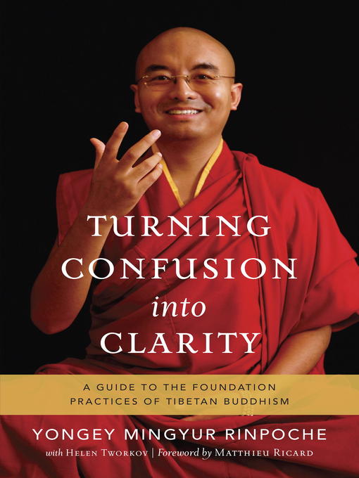 Title details for Turning Confusion into Clarity by Yongey Mingyur Rinpoche - Available